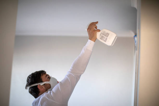 Mold Removal and Inspection in Hawthorne, CA