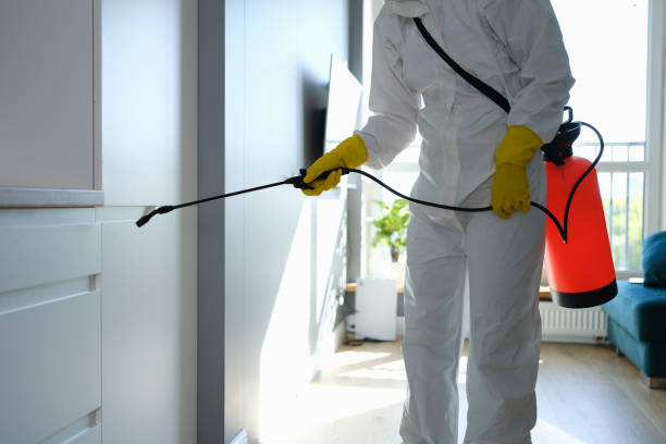 Best Office Mold Removal Services  in Hawthorne, CA