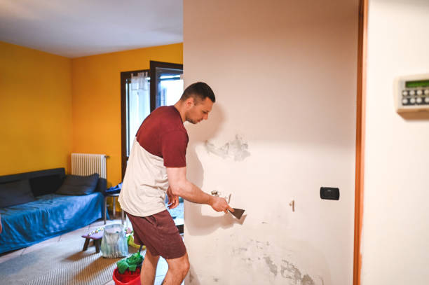Best Same-Day Mold Removal  in Hawthorne, CA