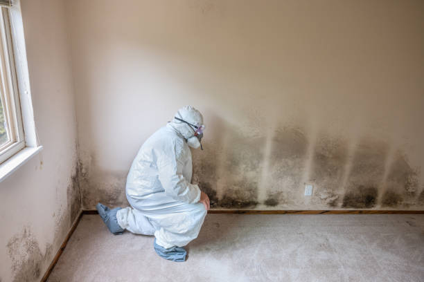 Best Crawl Space Mold Removal  in Hawthorne, CA