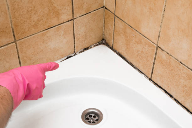 Best Mold Testing  in Hawthorne, CA